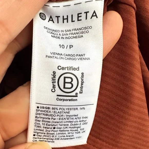 Athleta‎ Vienna Cargo Pant City Stripe Brown Wide Leg Gorpcore Size 10P - Picture 5 of 6